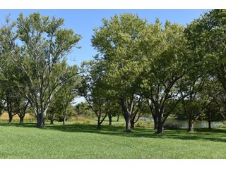 Property photo 28 - Tillable, Pasture, Recreational, Hunting and Fishing Property  